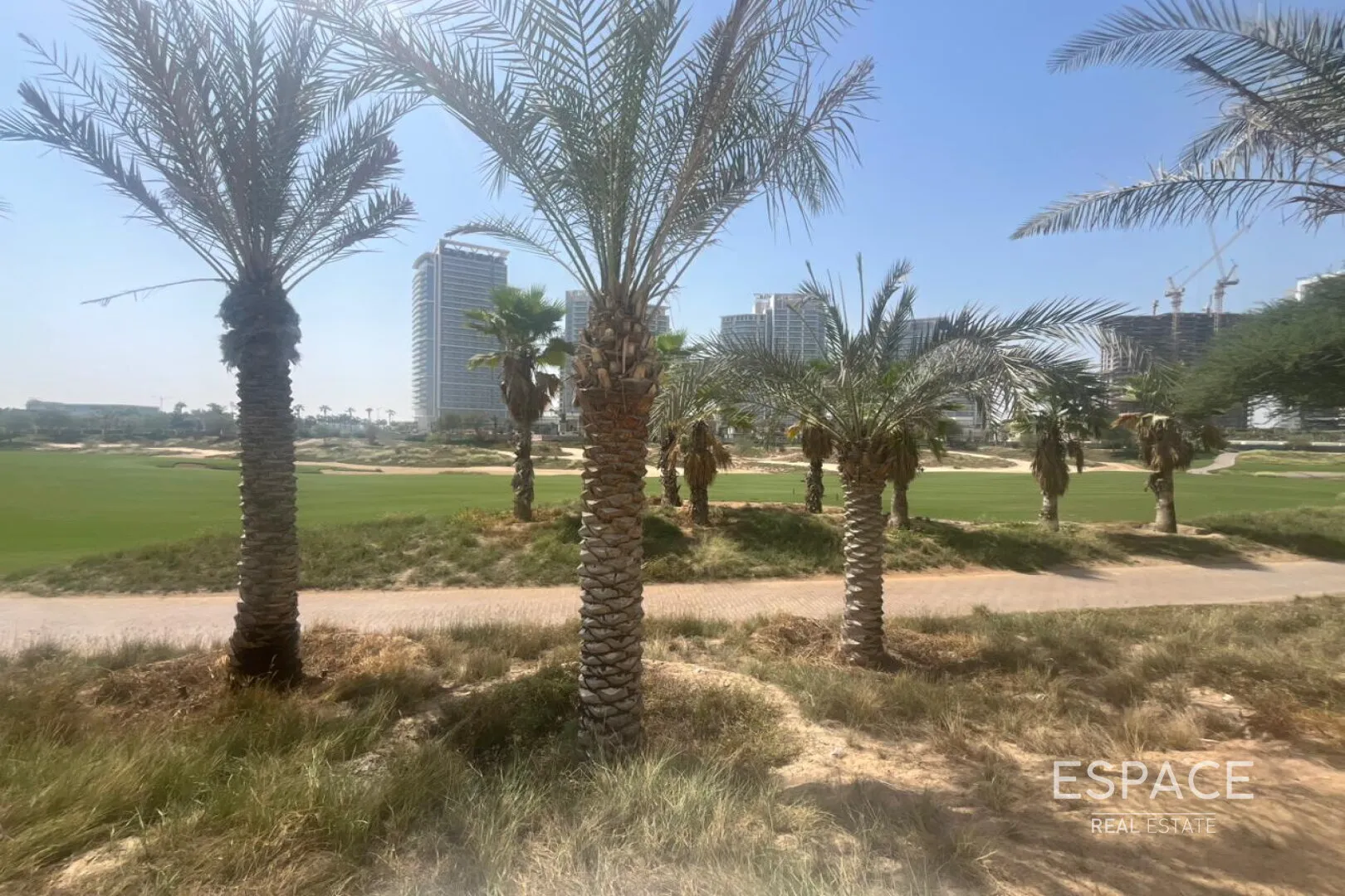 single static gallery