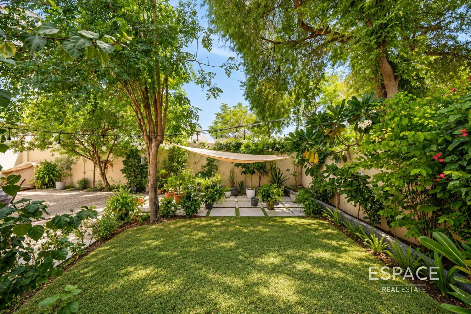 Top 10 properties
