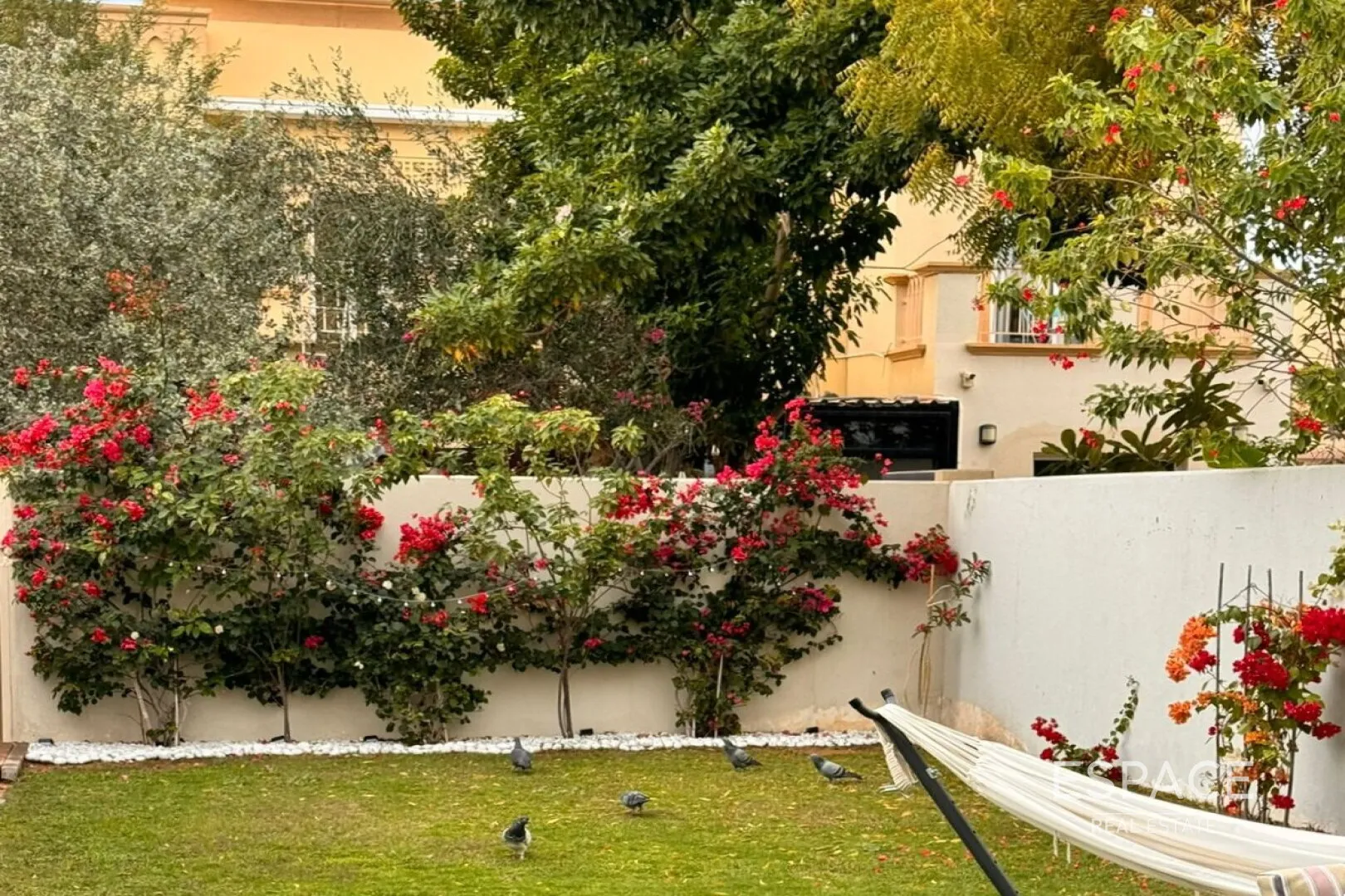 PropertiesGalleryCamera