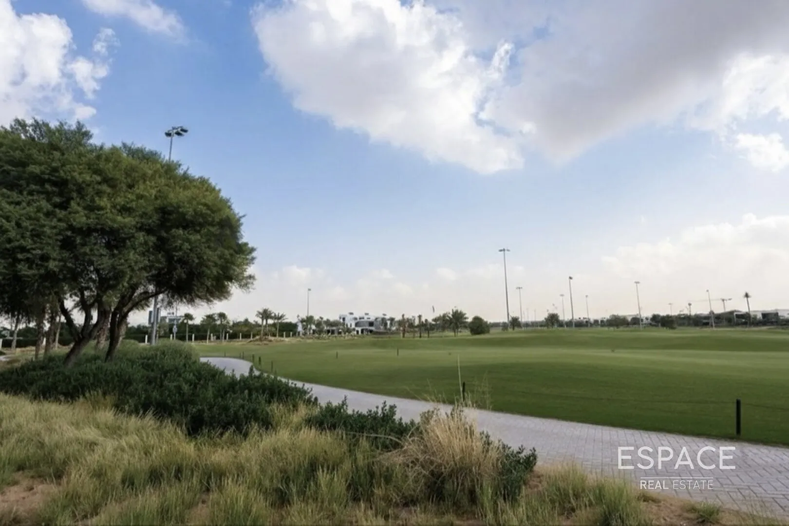 single static gallery