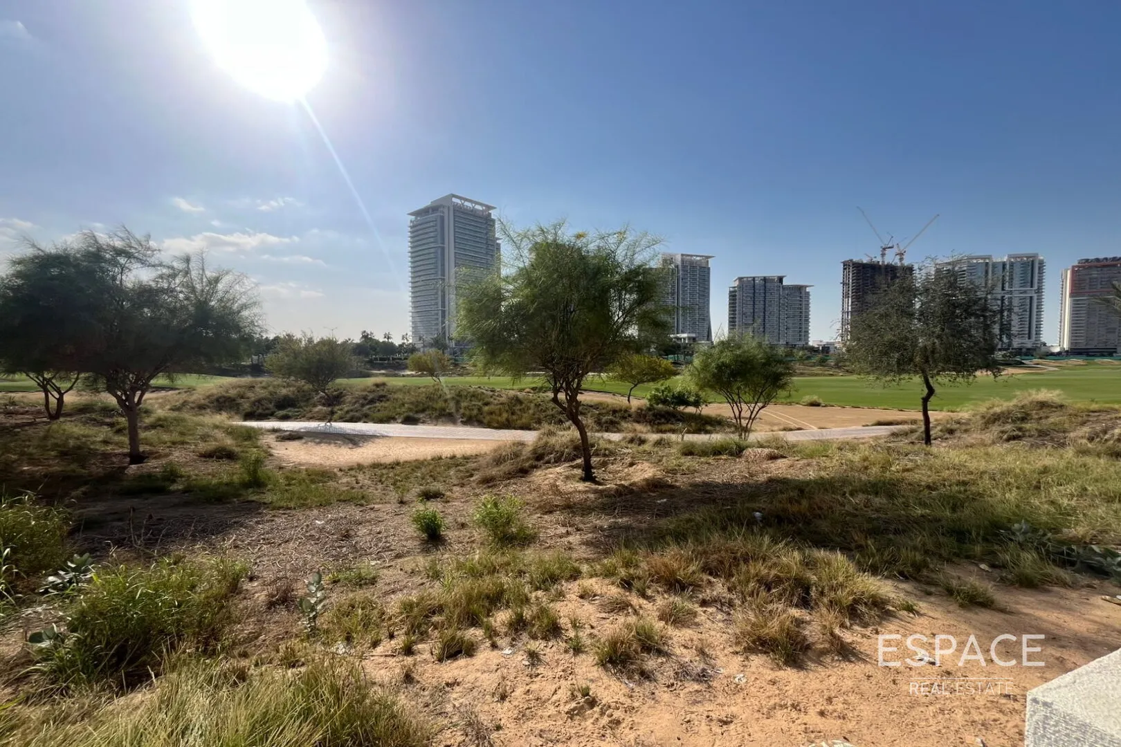 single static gallery